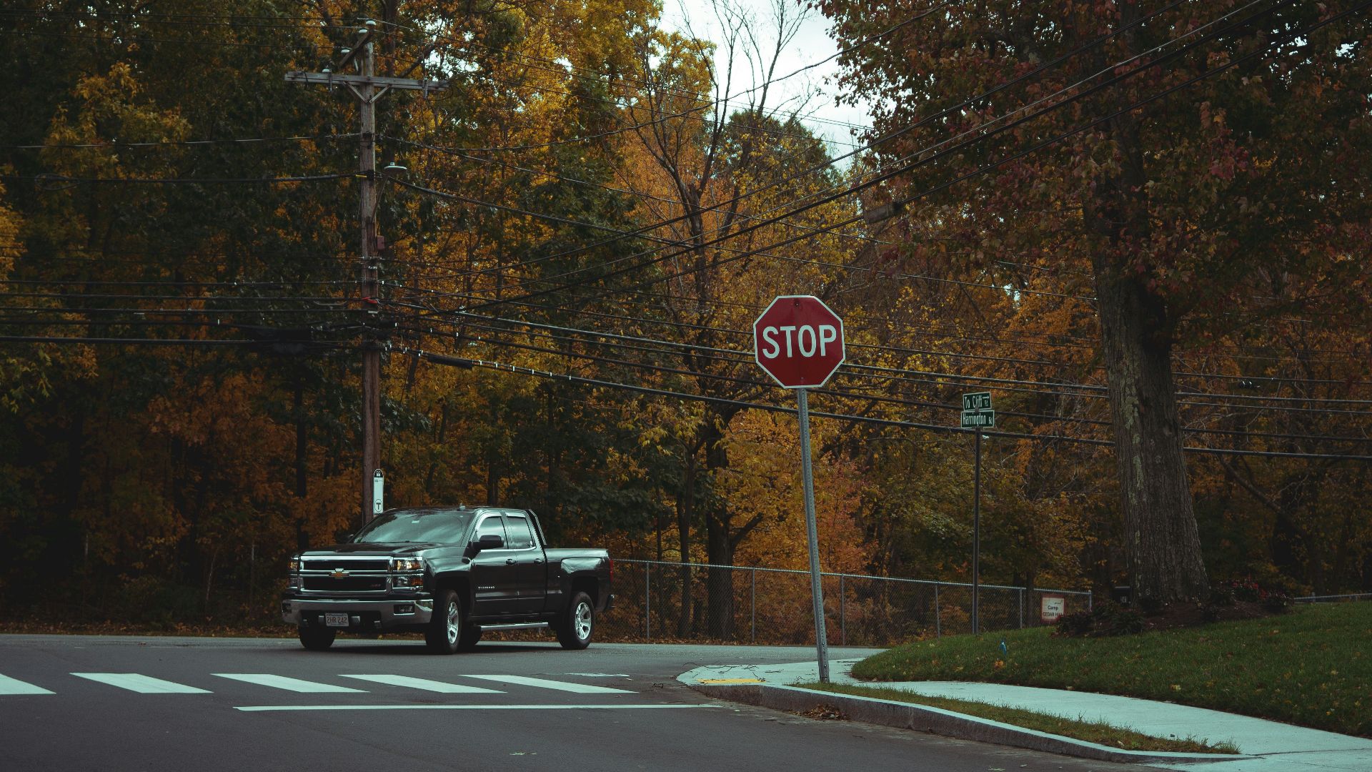 black pickup truck passing on road between trees during daytime