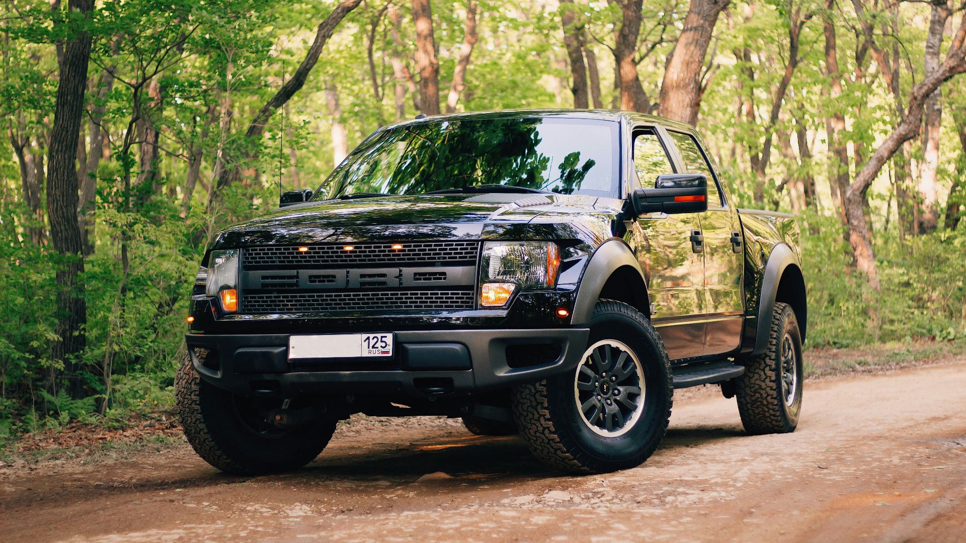 black jeep wrangler on forest during daytime