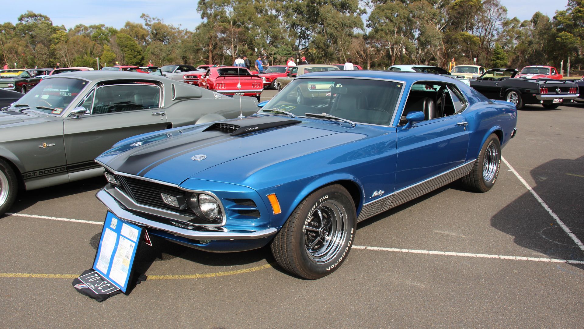 File:1970 Ford Mustang Mach 1 Sportsroof 428 SCJ (15577195222).jpg