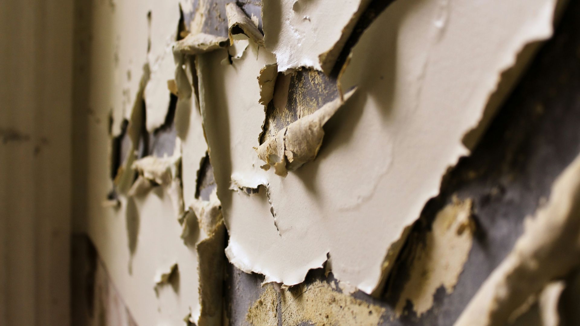 a close-up of a wall