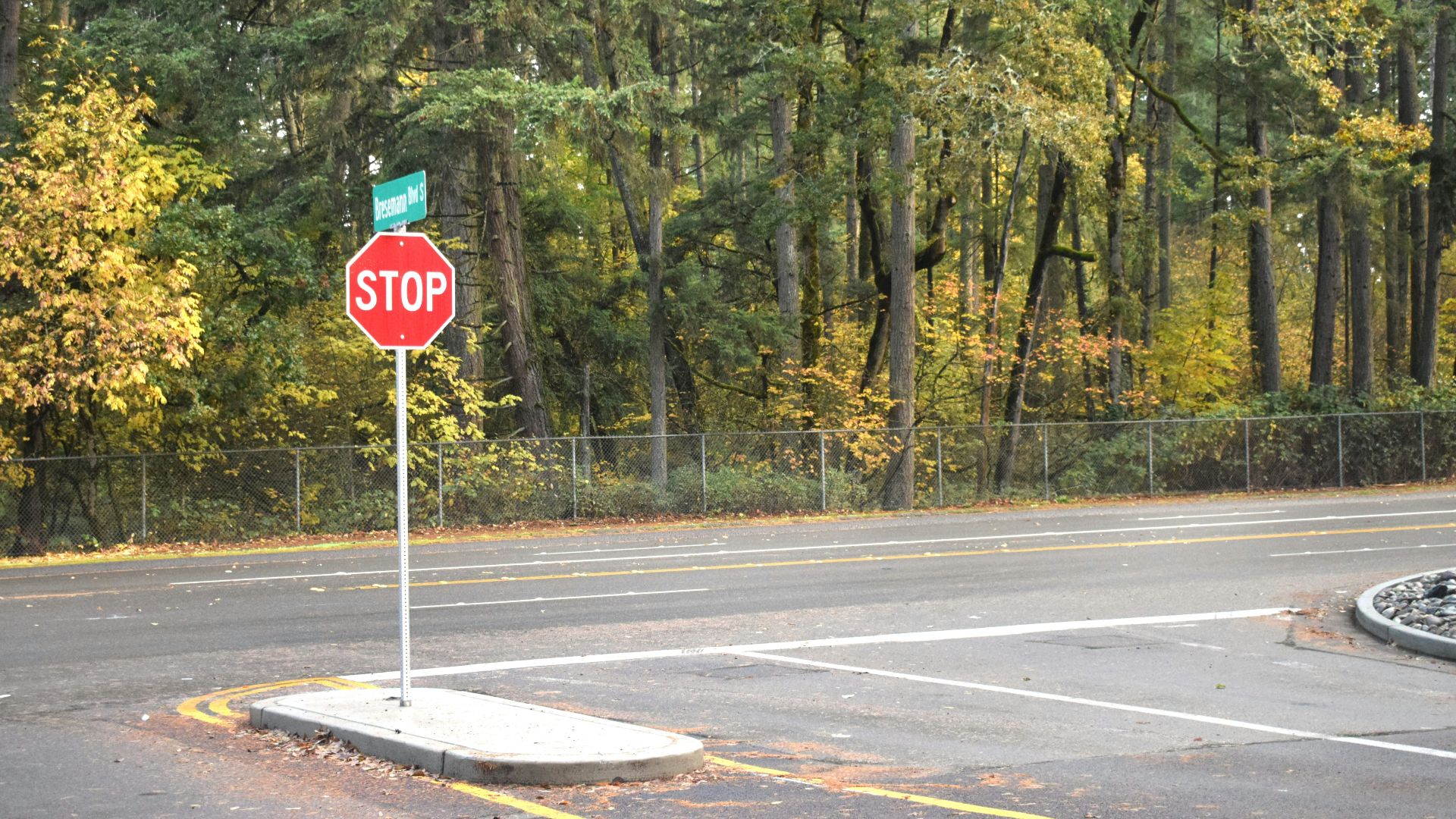 A stop sign on the side of the road