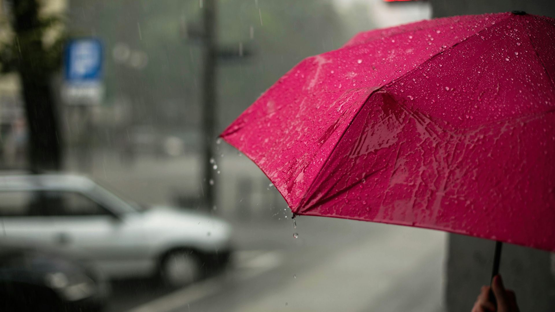 pink umbrella
