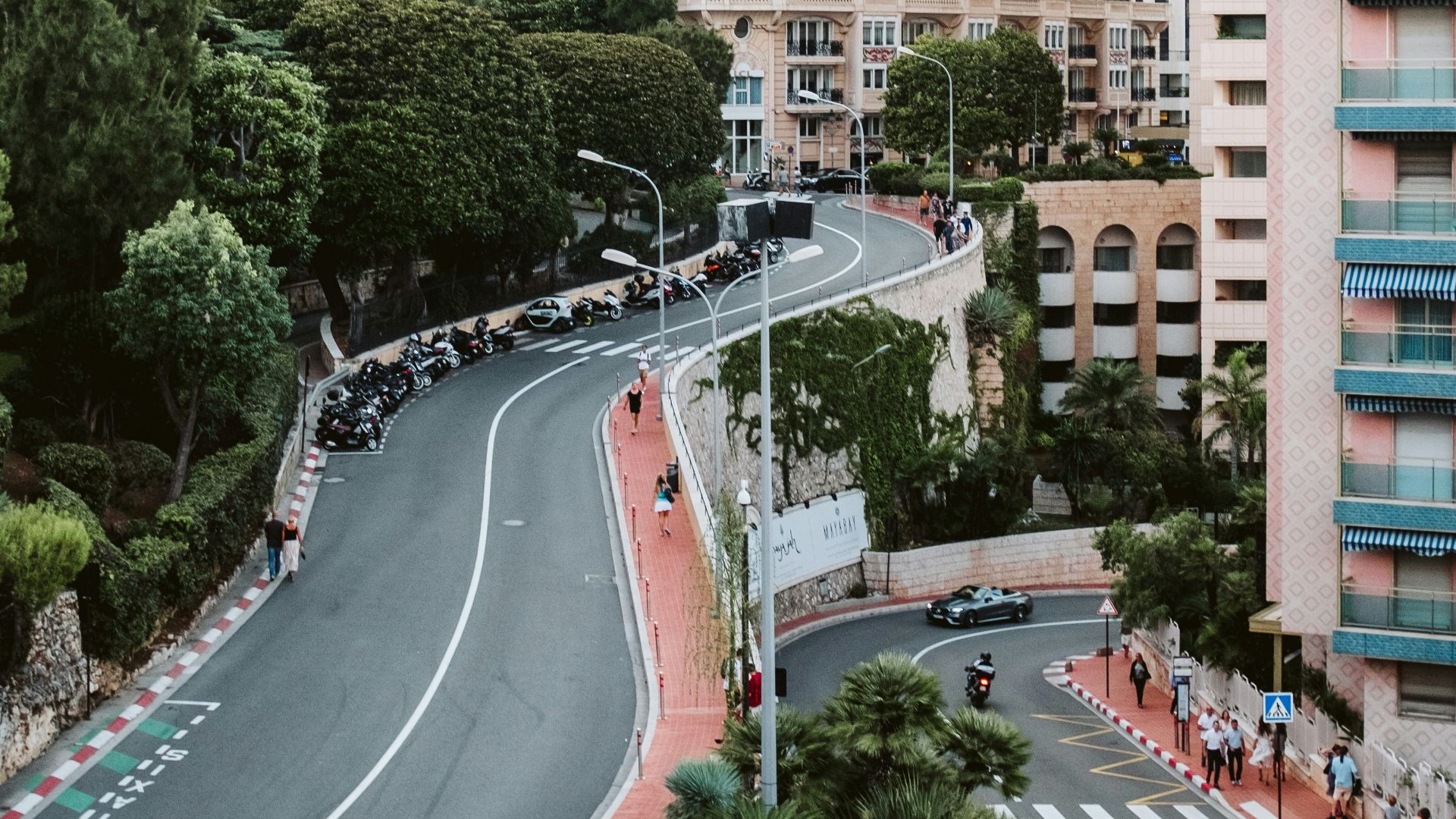 cars on road near trees and buildings during daytime