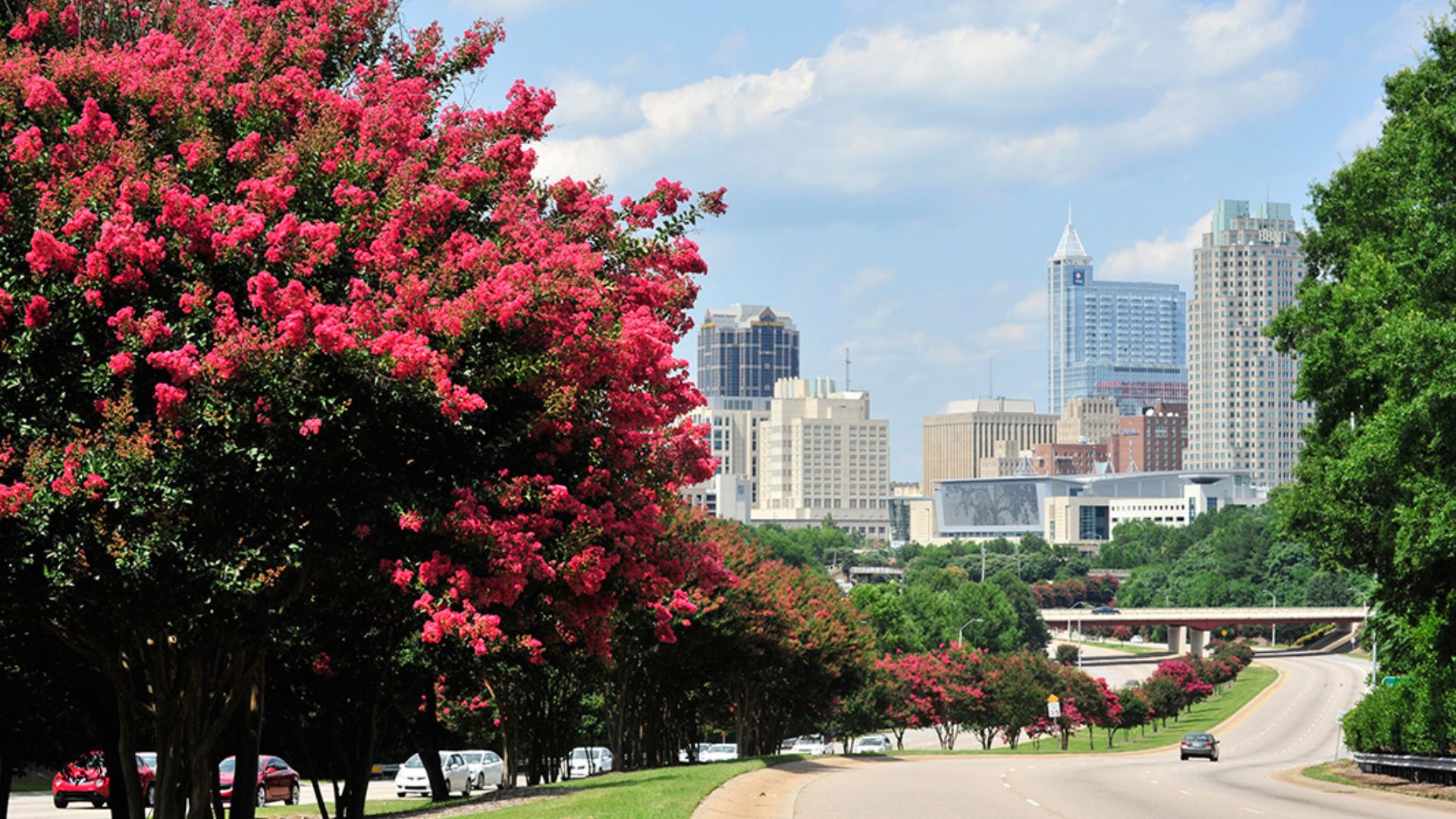 File:Raleigh skyline along S Saunders st.jpg