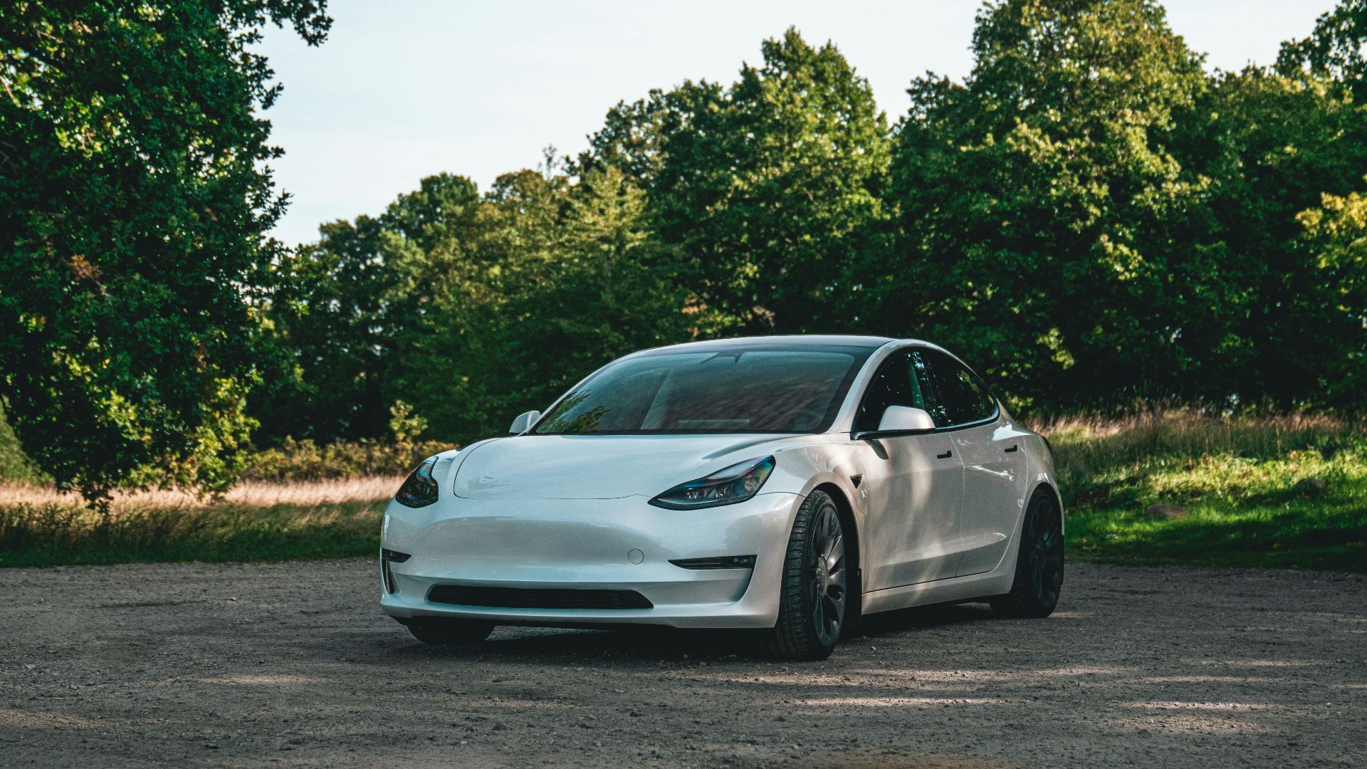 a white car parked in a parking lot next to trees