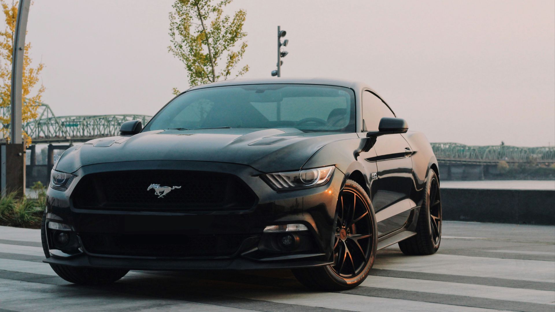black Ford Mustang coupe parked near green tree