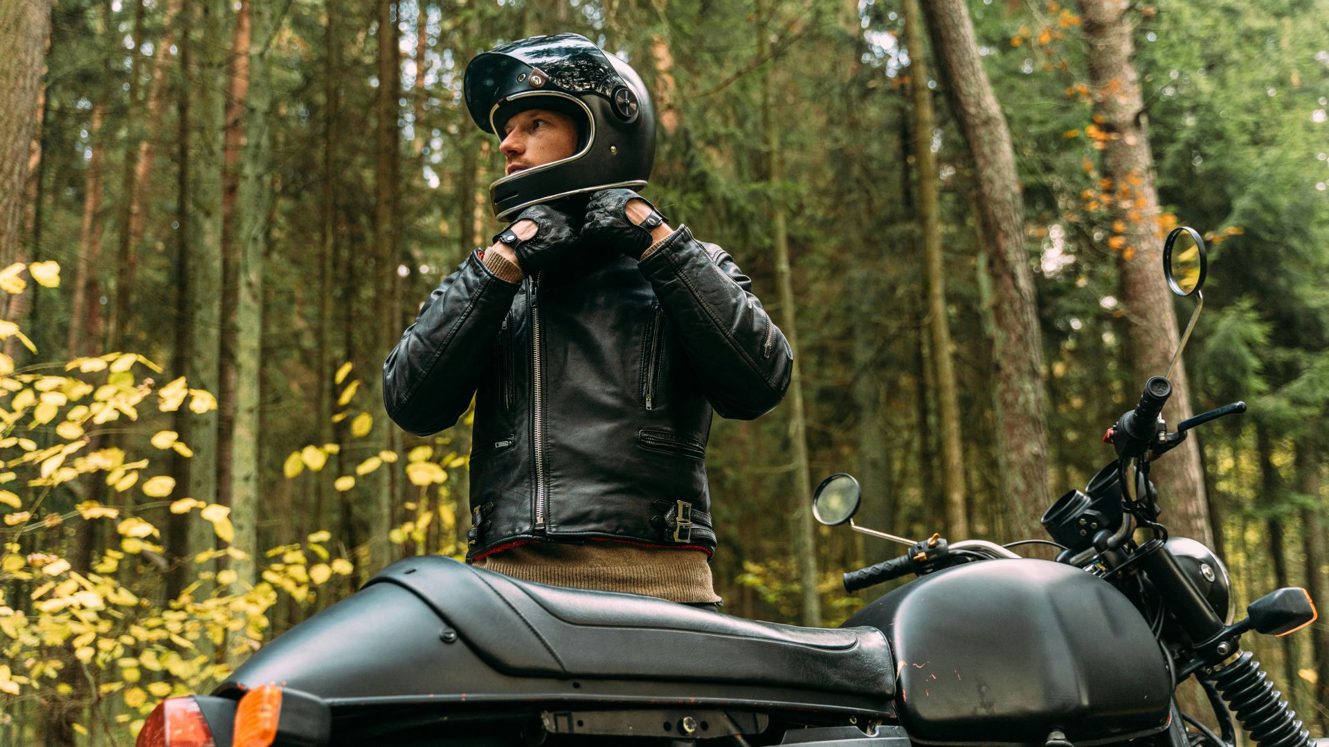 Antoni Shkraba Studio