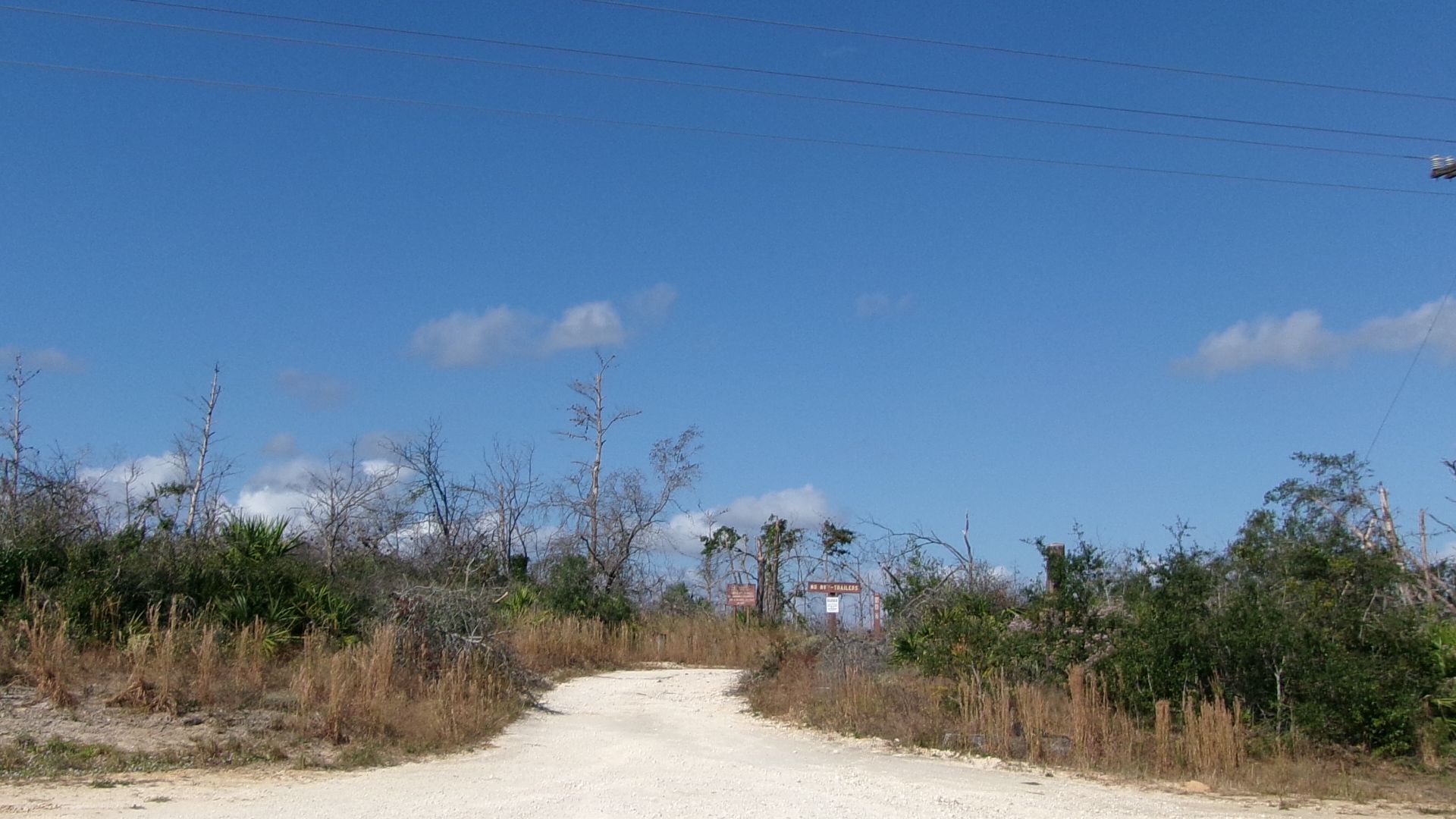 File:Yearling Trail (ONF); Across FL 19 from Silver Glen Springs.jpg
