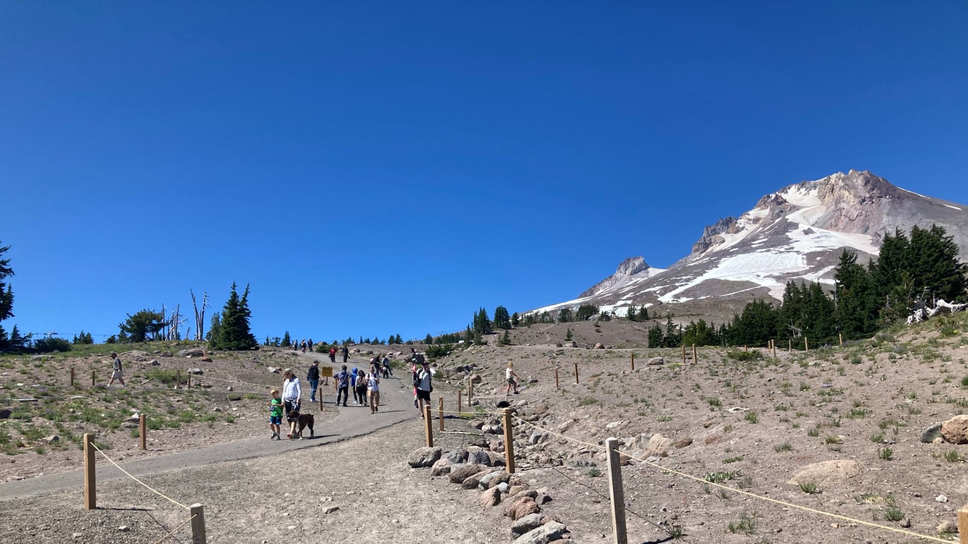File:20210715-FS-Mt Hood- Above Timberline Lodge near Pacific Crest Trail trail access.jpg