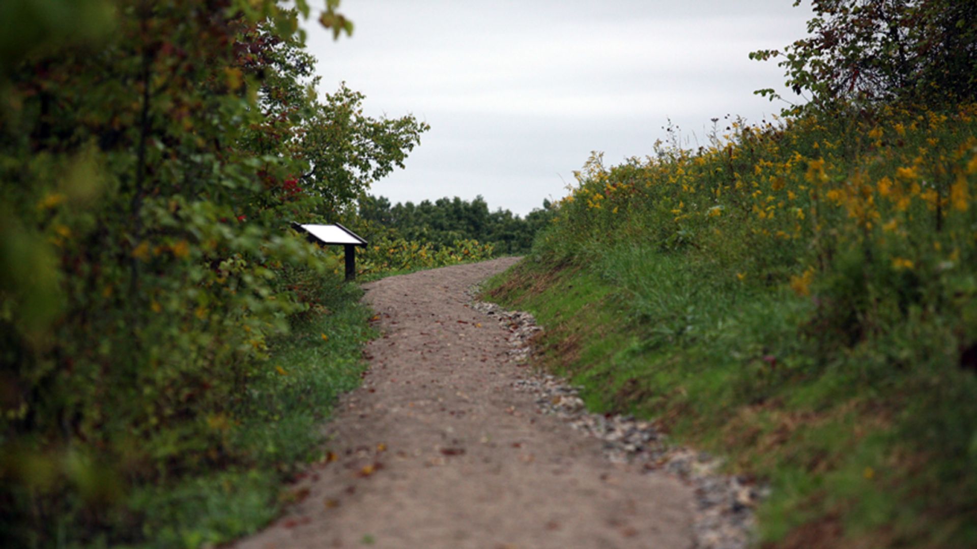 File:Wayne National Forest (3955807609).jpg