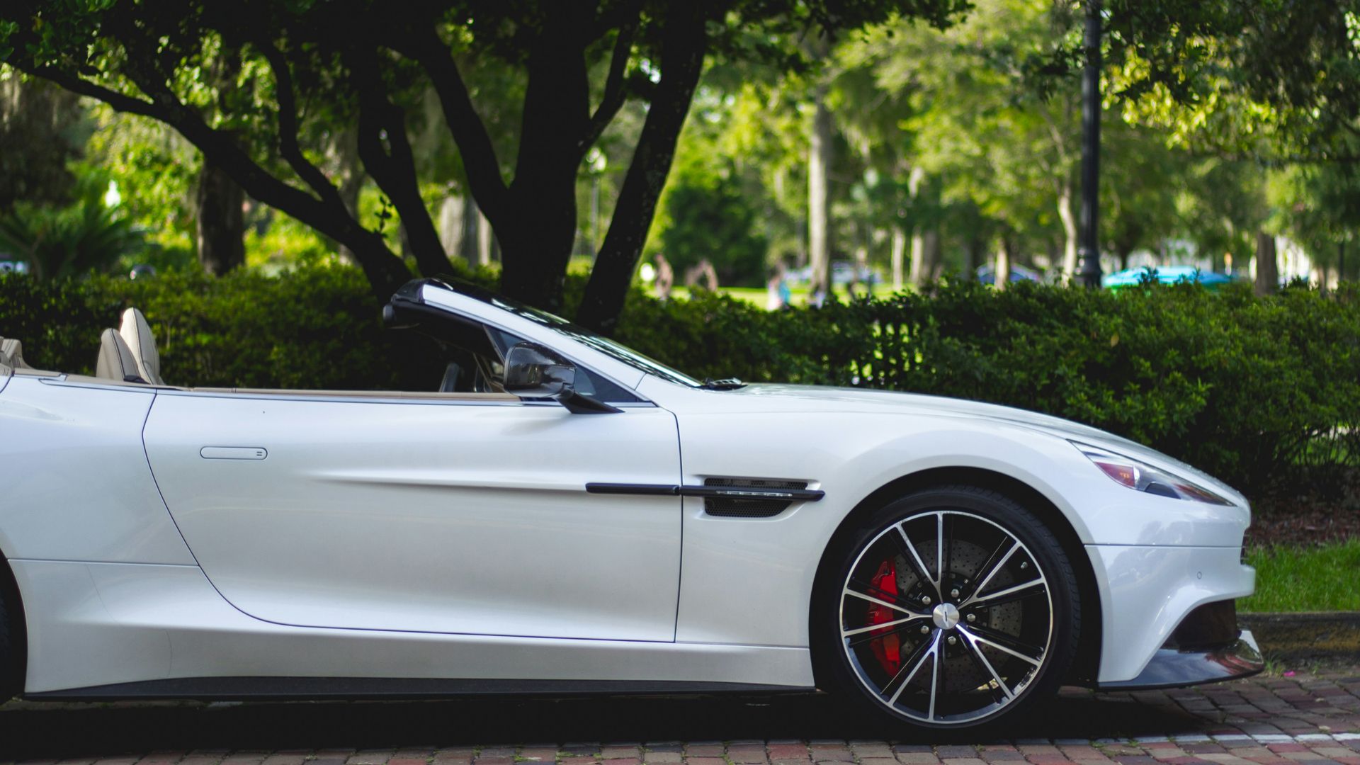 white Aston Martin convertible parked near trees