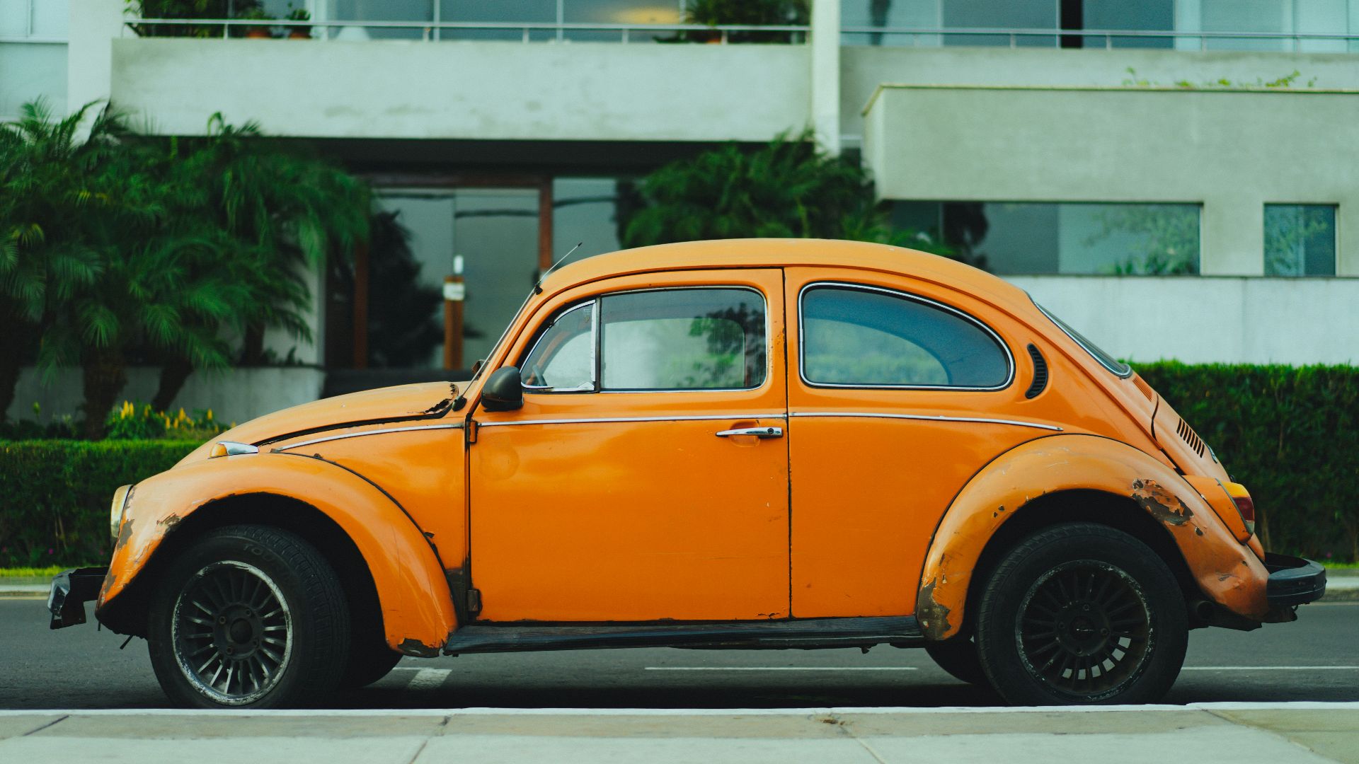 shallow focus photography of orange Volkswagen Beetle
