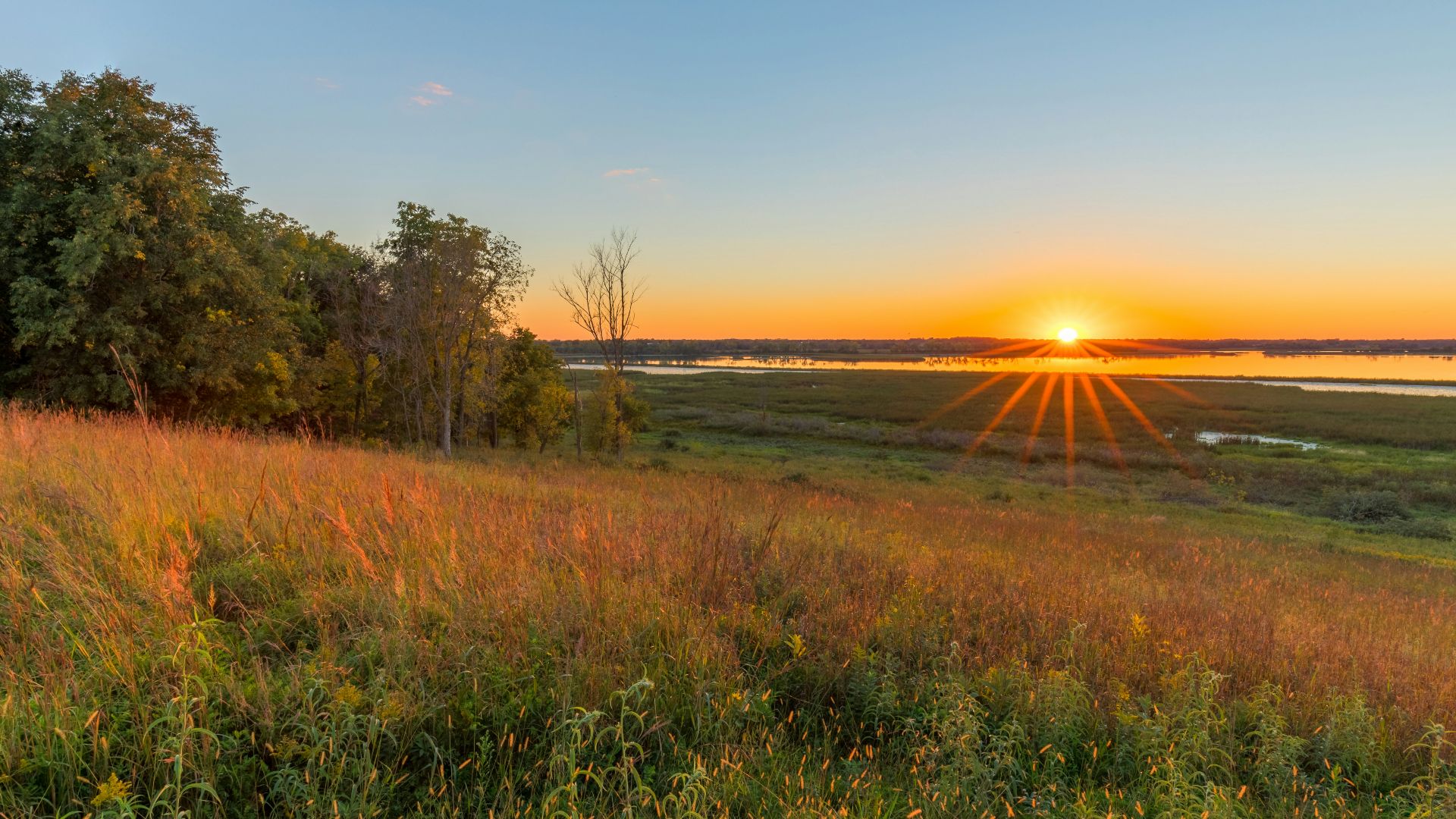 the sun is setting over a grassy field