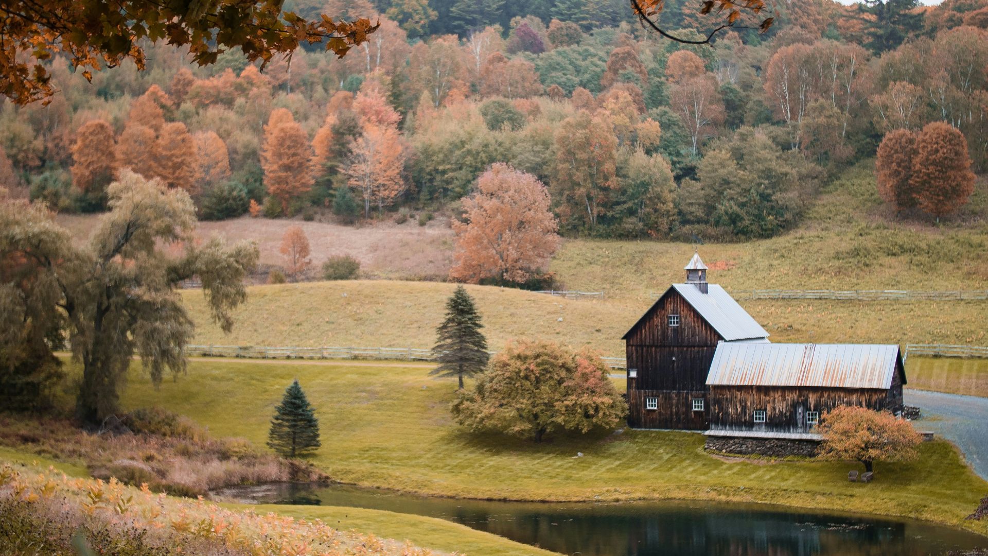 brown and white house near brown trees and river during daytime
