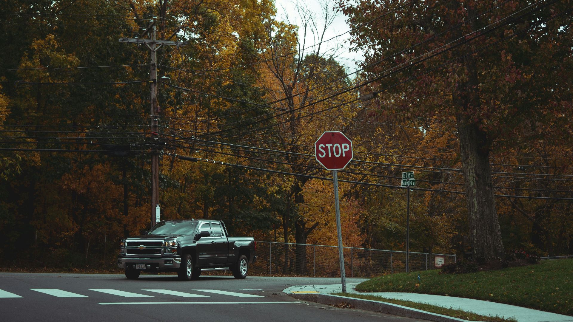 black pickup truck passing on road between trees during daytime