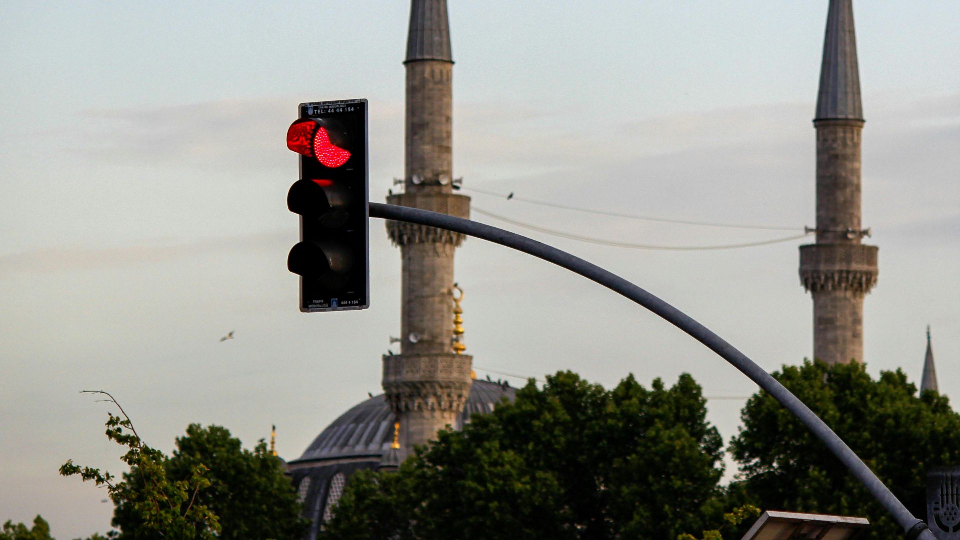 Muhammed Zahid Bulut