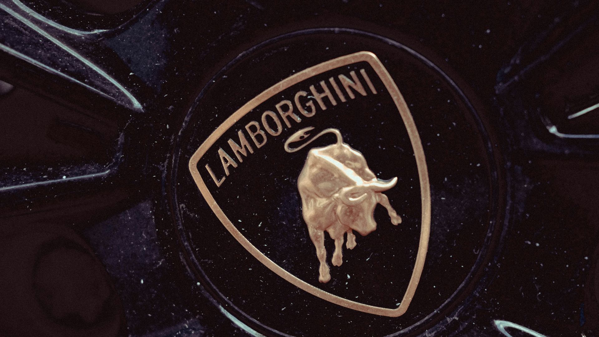 a close up of a wheel with a lamb logo on it