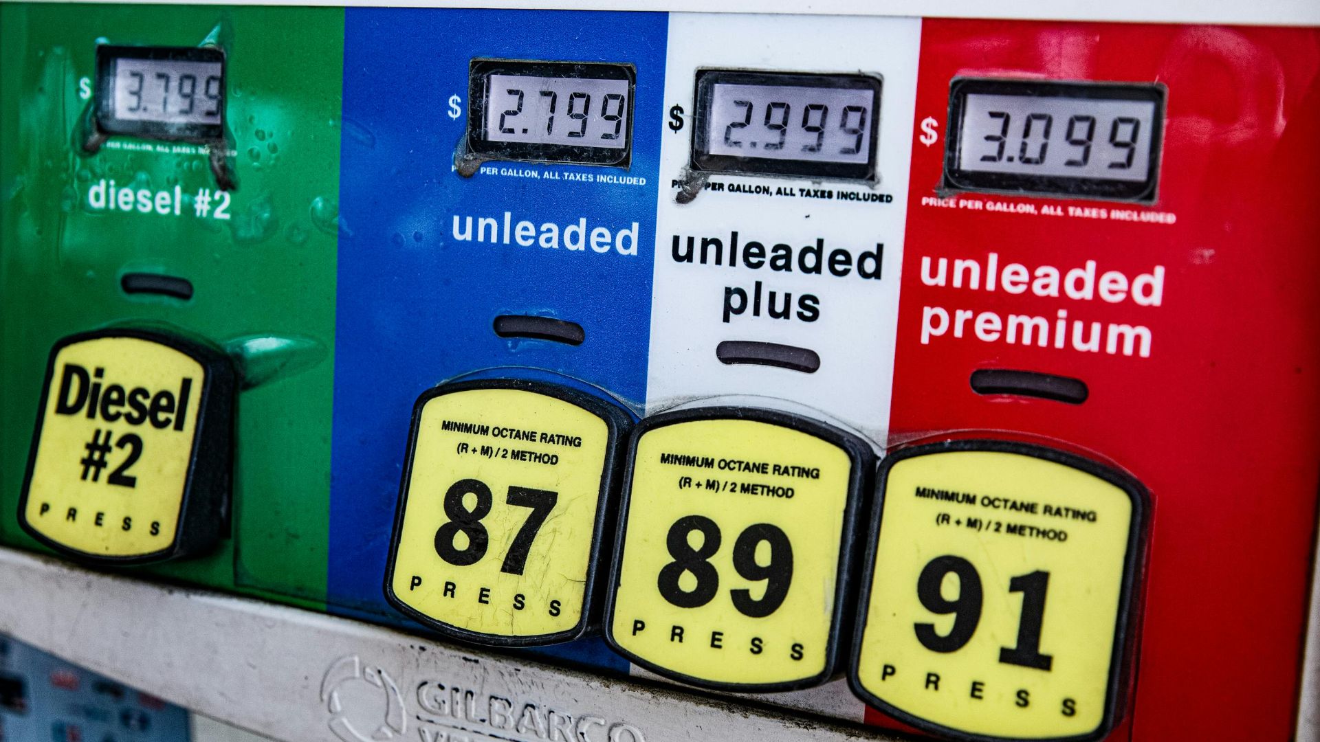 Ekaterina Belinskaya