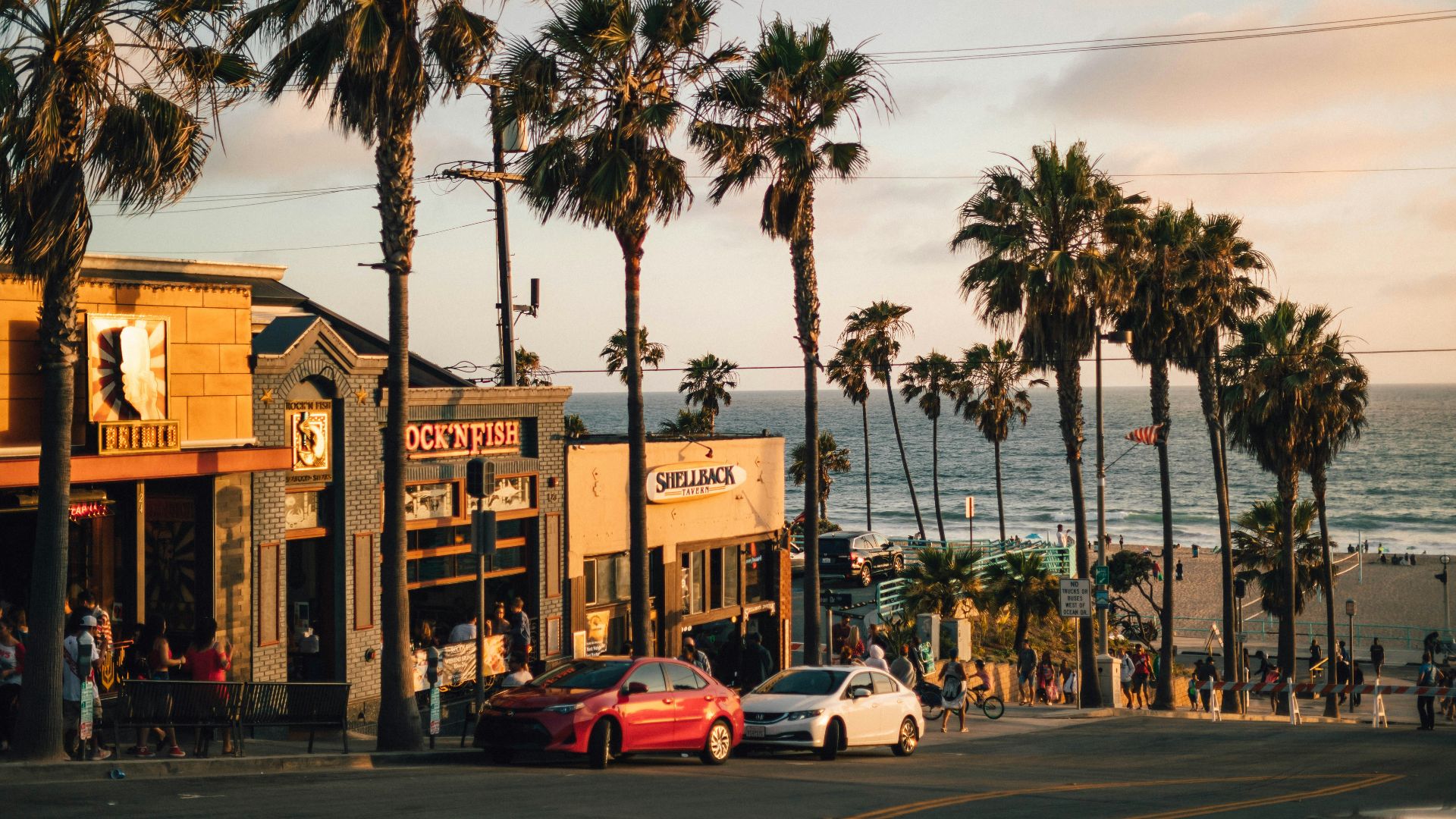 vehicles parked near tree and building