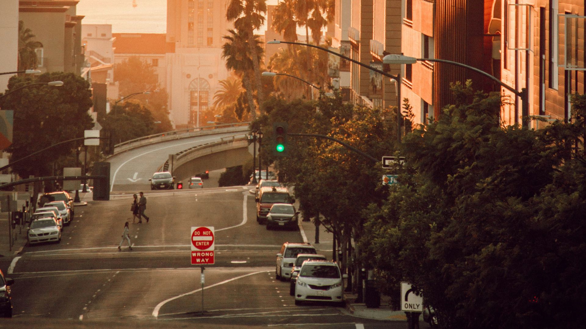 vehicles on road beside buildings during daytime