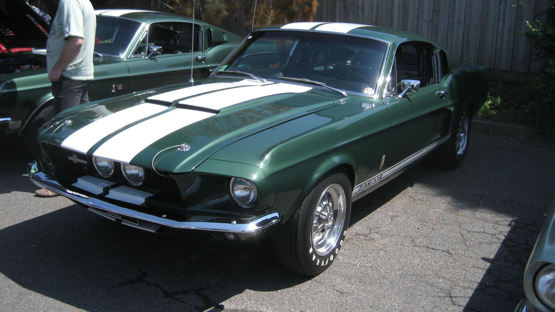 File:Shelby Mustang GT500 1967 (2).jpg