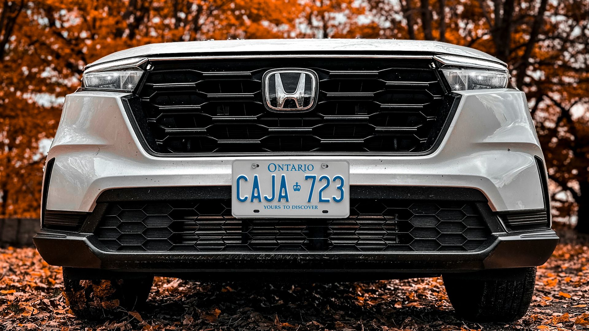 the front end of a white honda cr - v parked on a leaf covered road