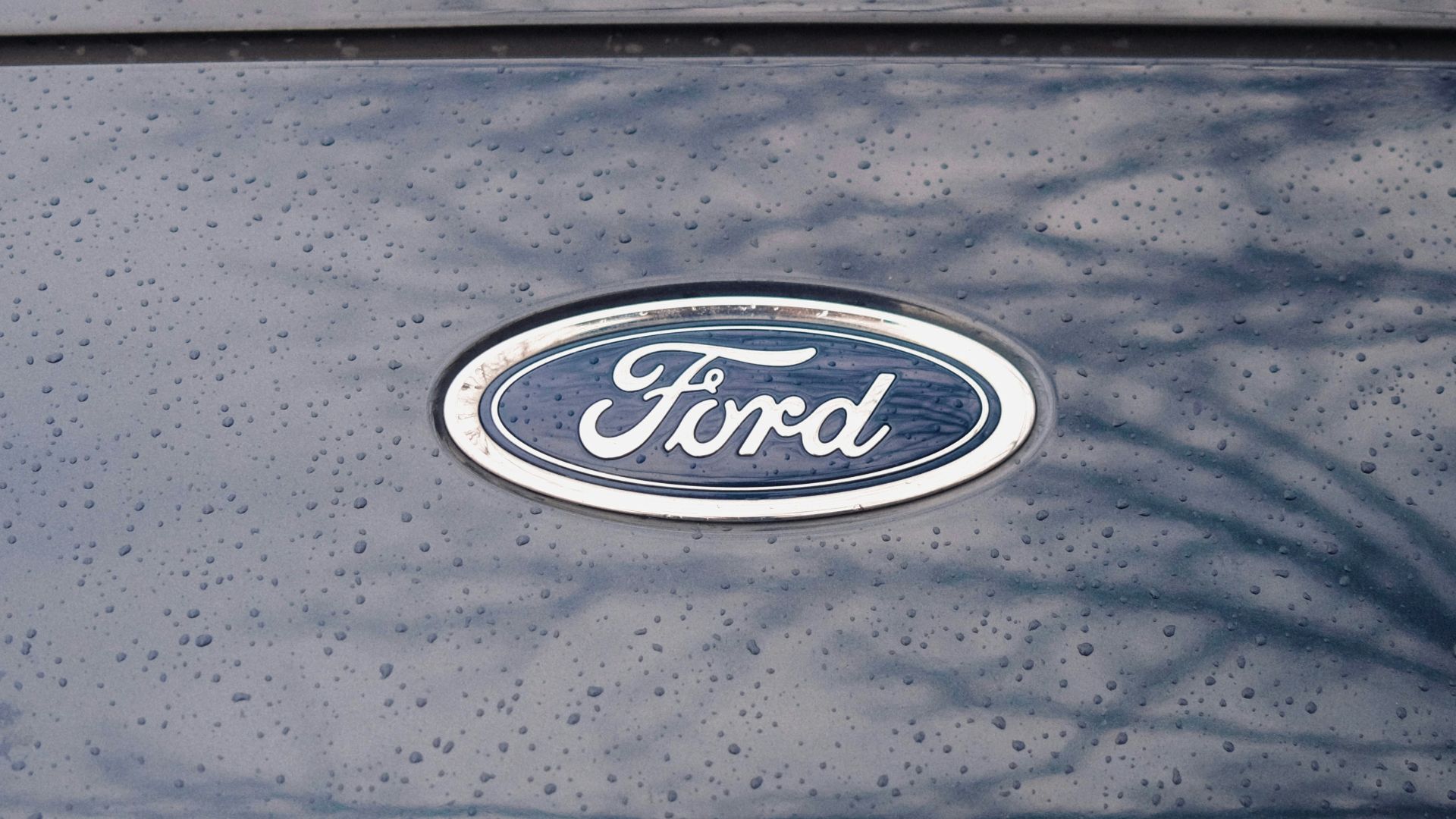 a close up of a ford emblem on a car