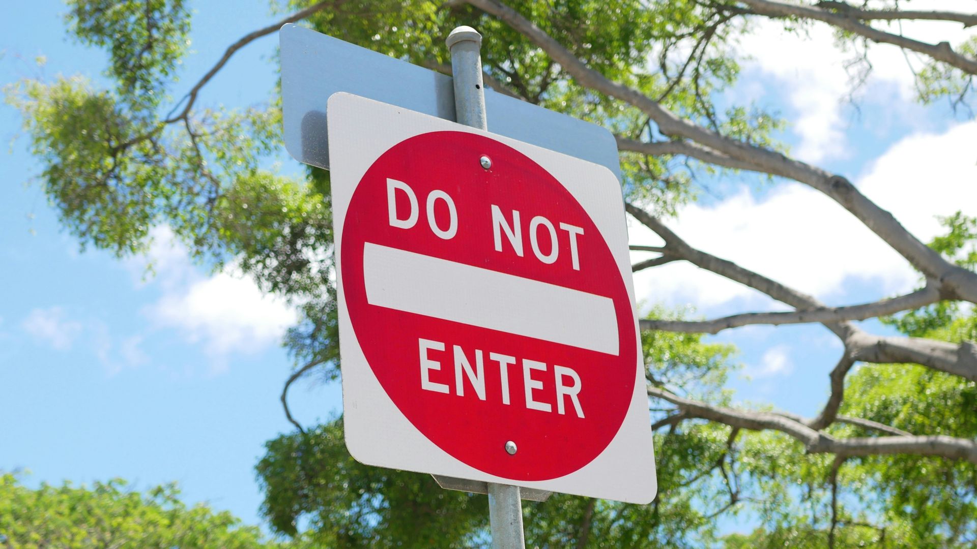 red and white stop road sign