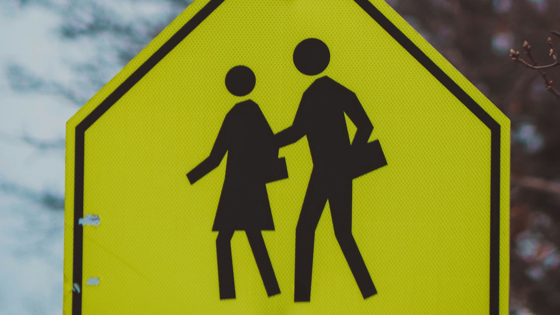 a yellow pedestrian crossing sign with a tree in the background