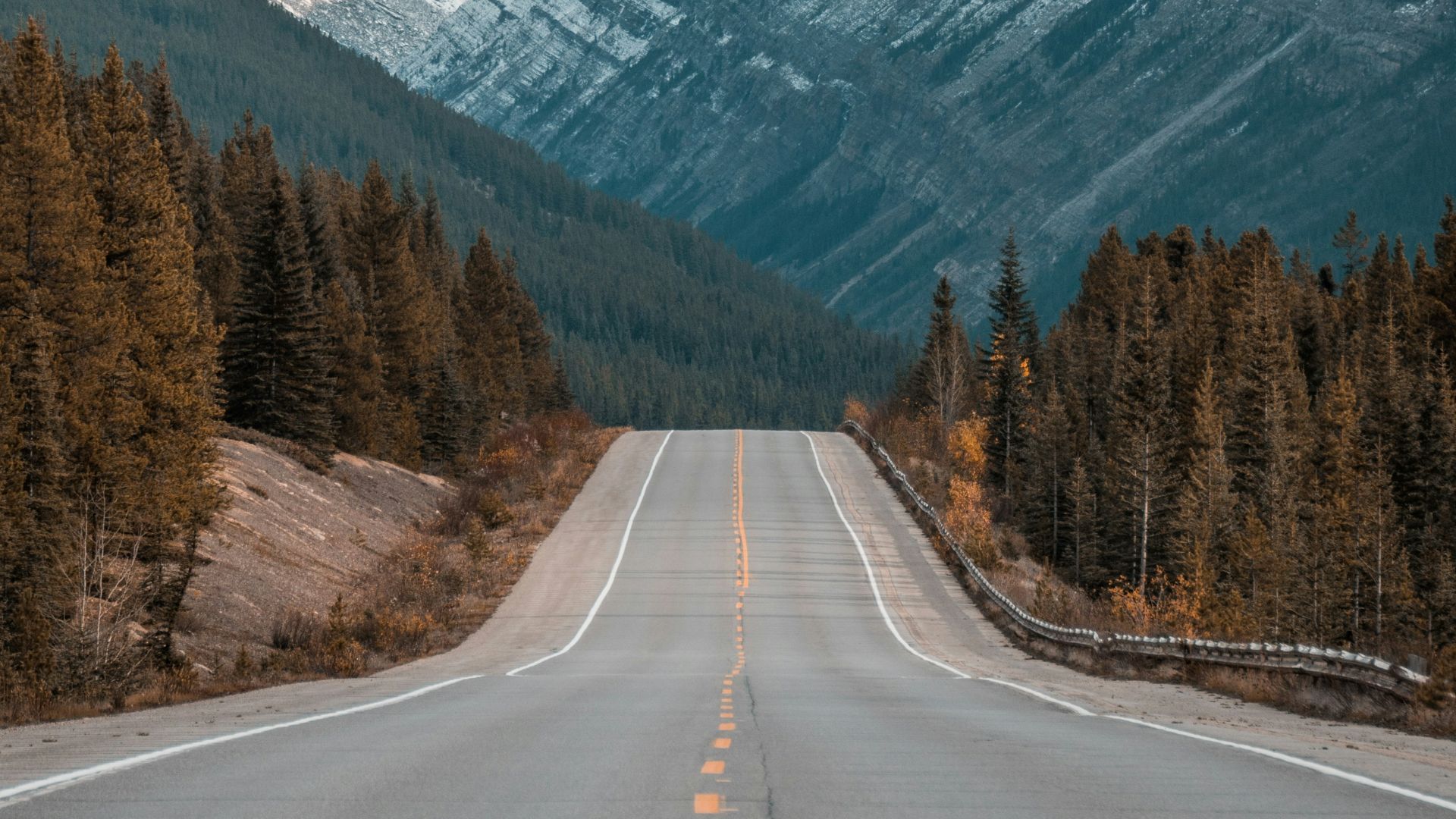 gray concrete road between trees near mountain