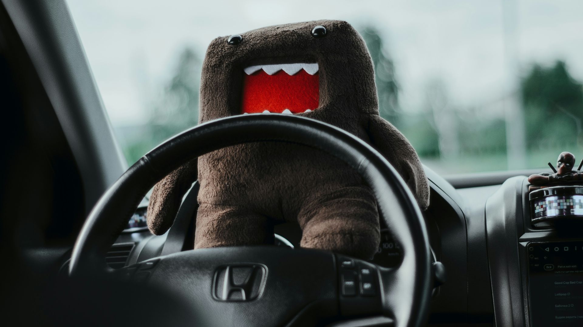 Domo is driving a car!
