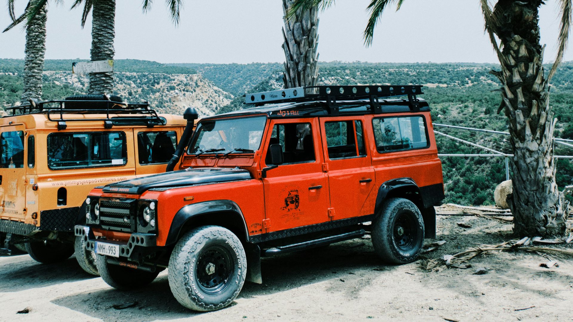 Adventure-ready suvs parked near palm trees.