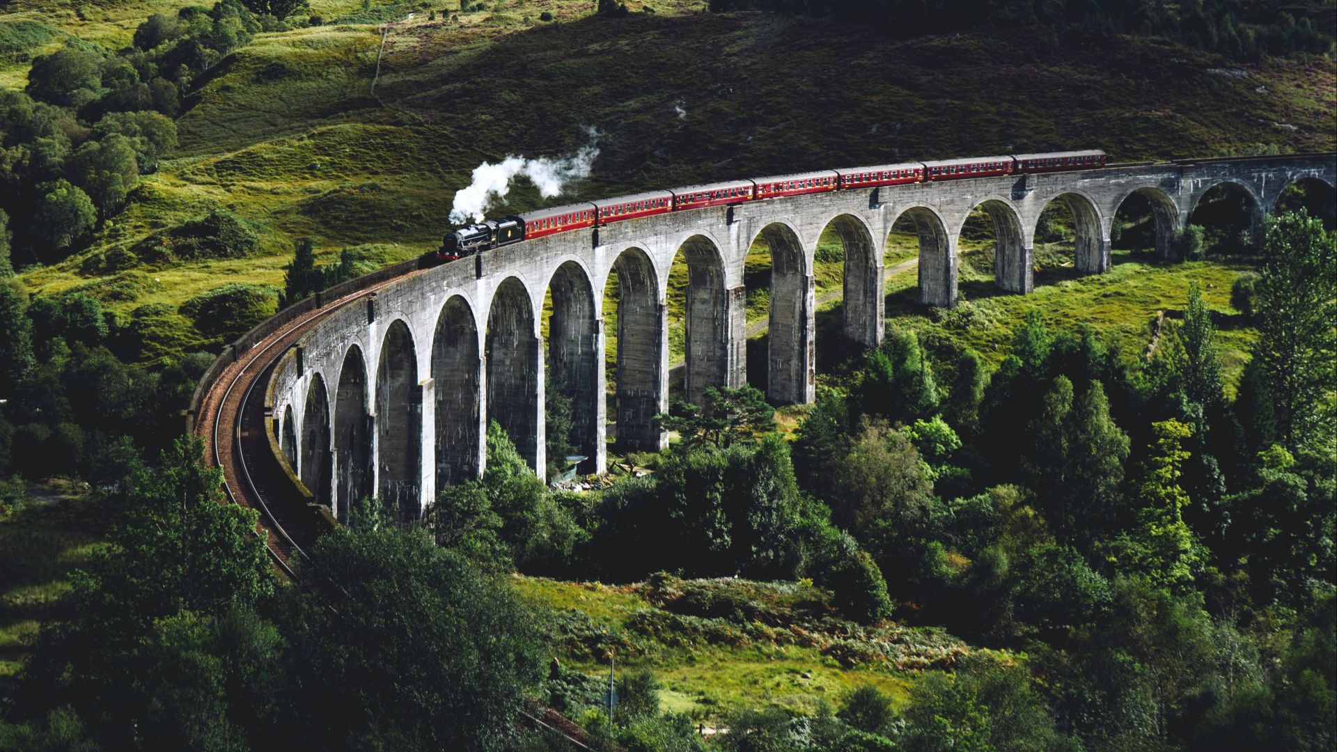 train on bridge surrounded with trees at daytime