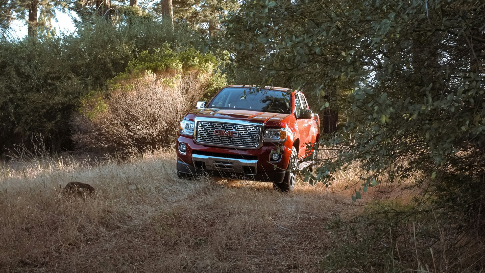 red pickup truck passing by a road in the forest