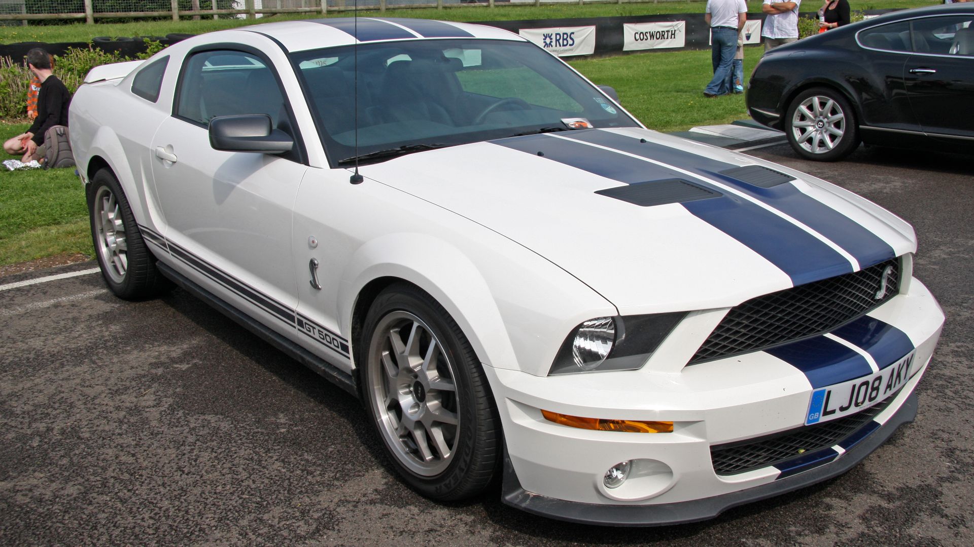 File:Ford Mustang Shelby GT 500 - Flickr - exfordy.jpg