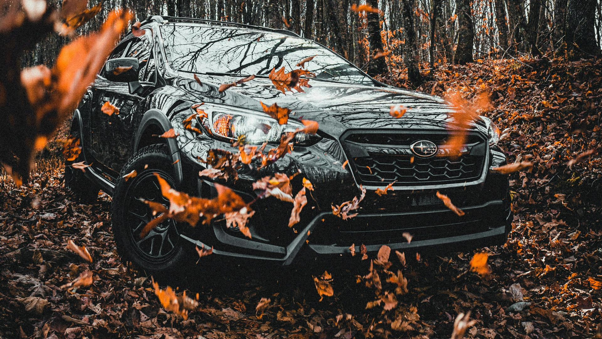 Connor Scott McManus