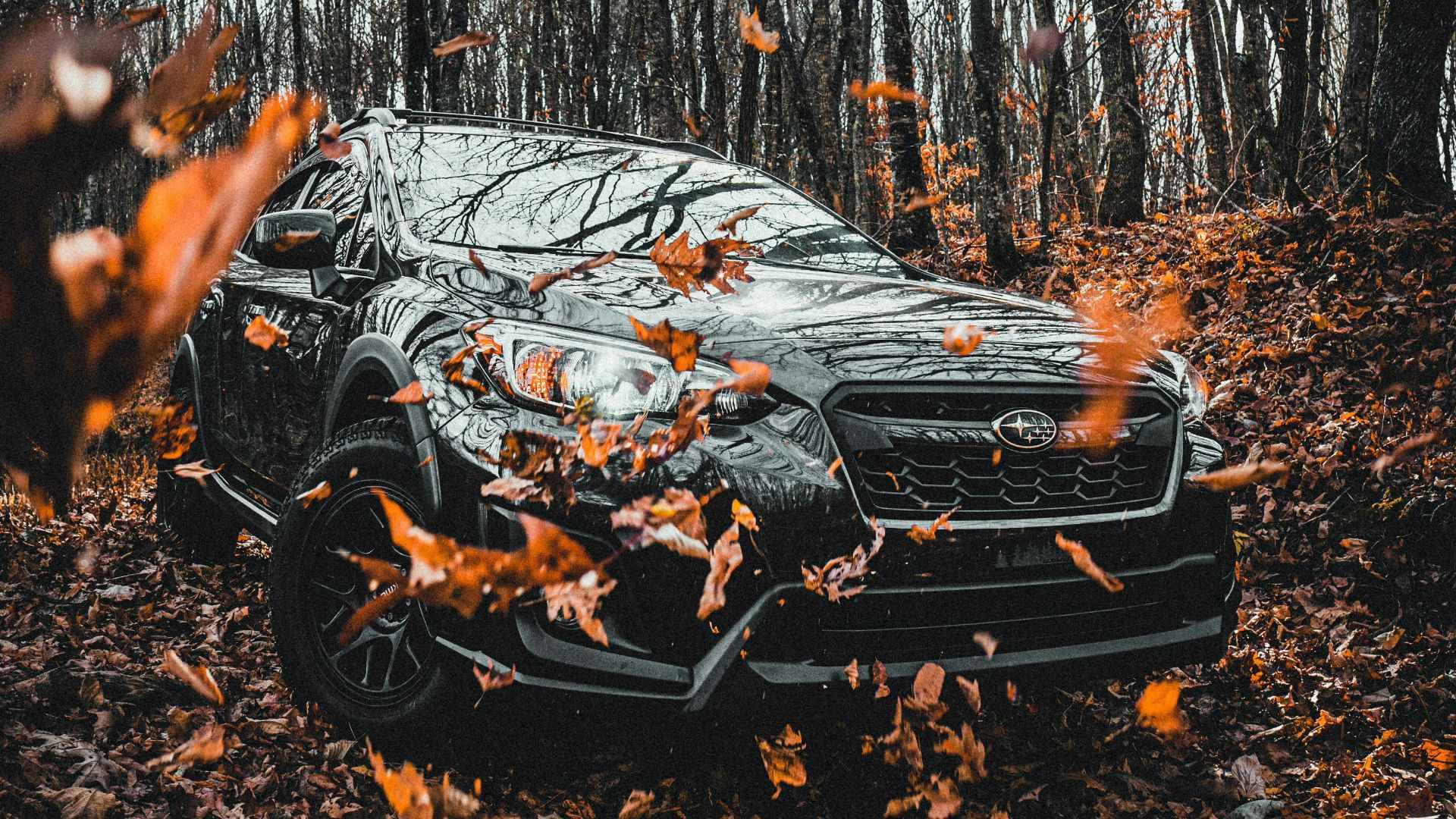 Connor Scott McManus