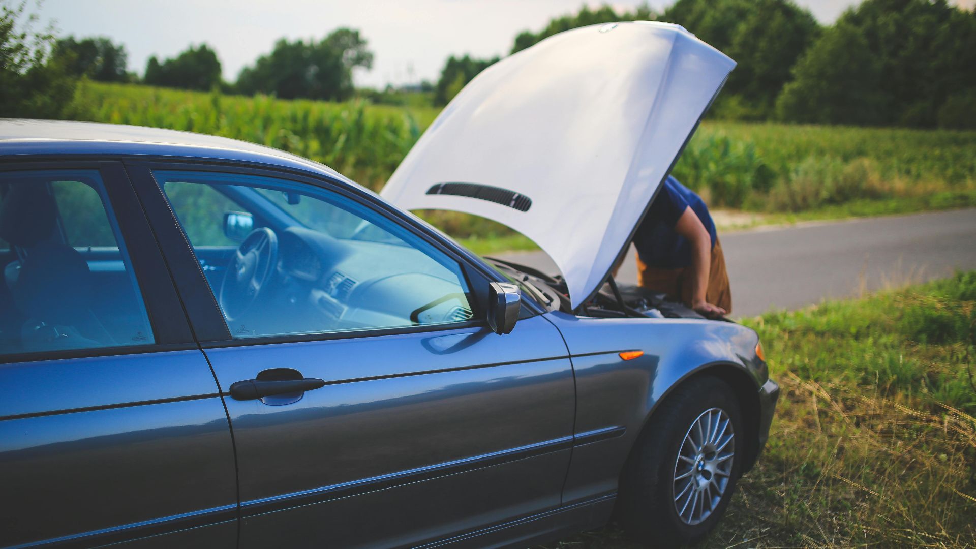 Karolina Grabowska www.kaboompics.com