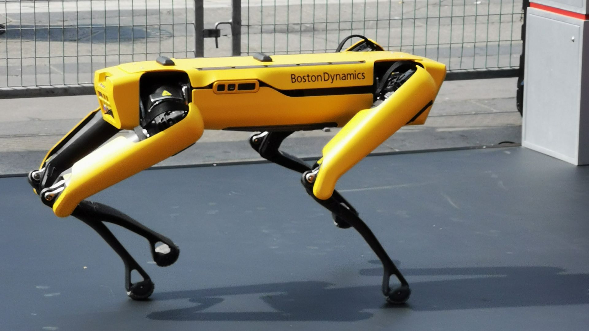 File:Boston Dynamics Spot in Milan.jpg
