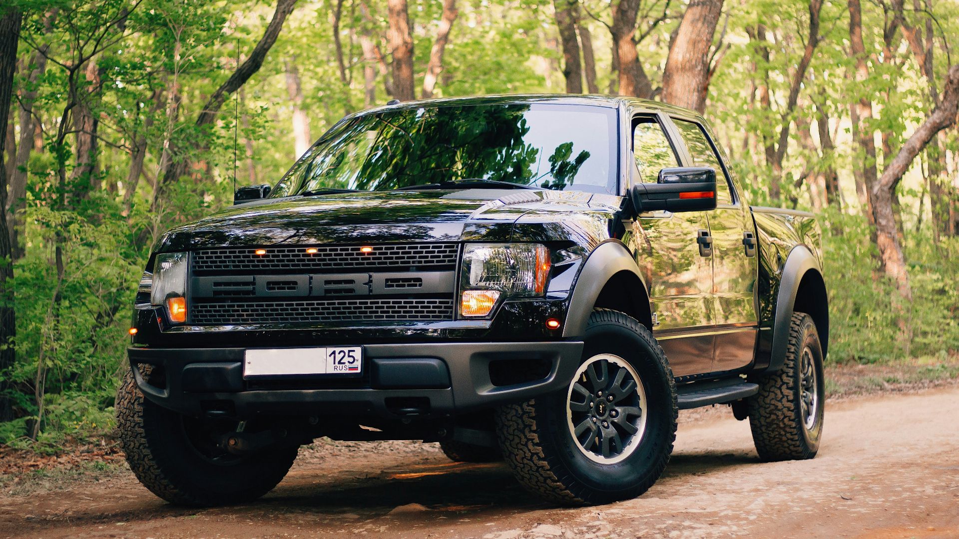 black jeep wrangler on forest during daytime