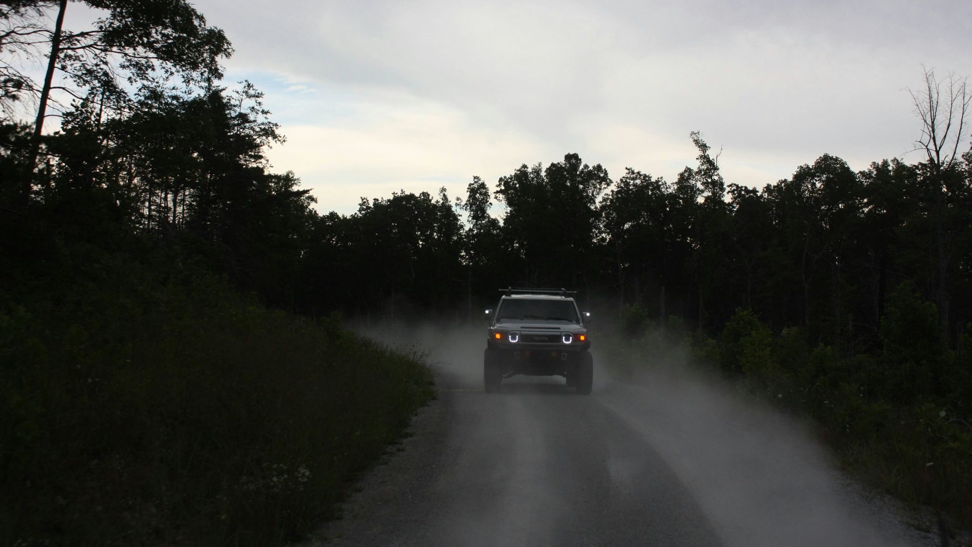 black suv on road between green trees during daytime