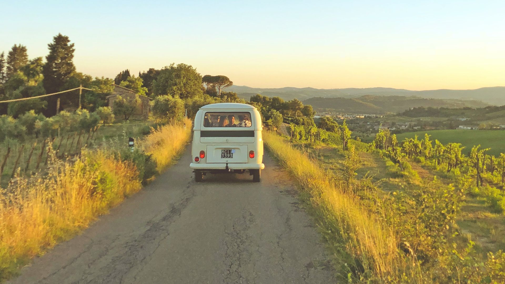 white van traveling on rough road in between green grass during sunset