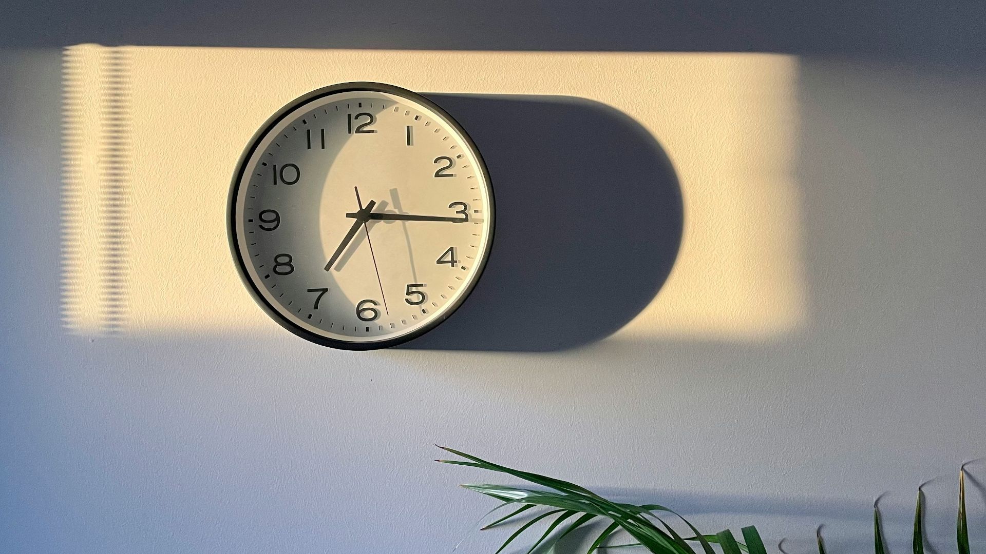 a clock on a wall with a plant next to it