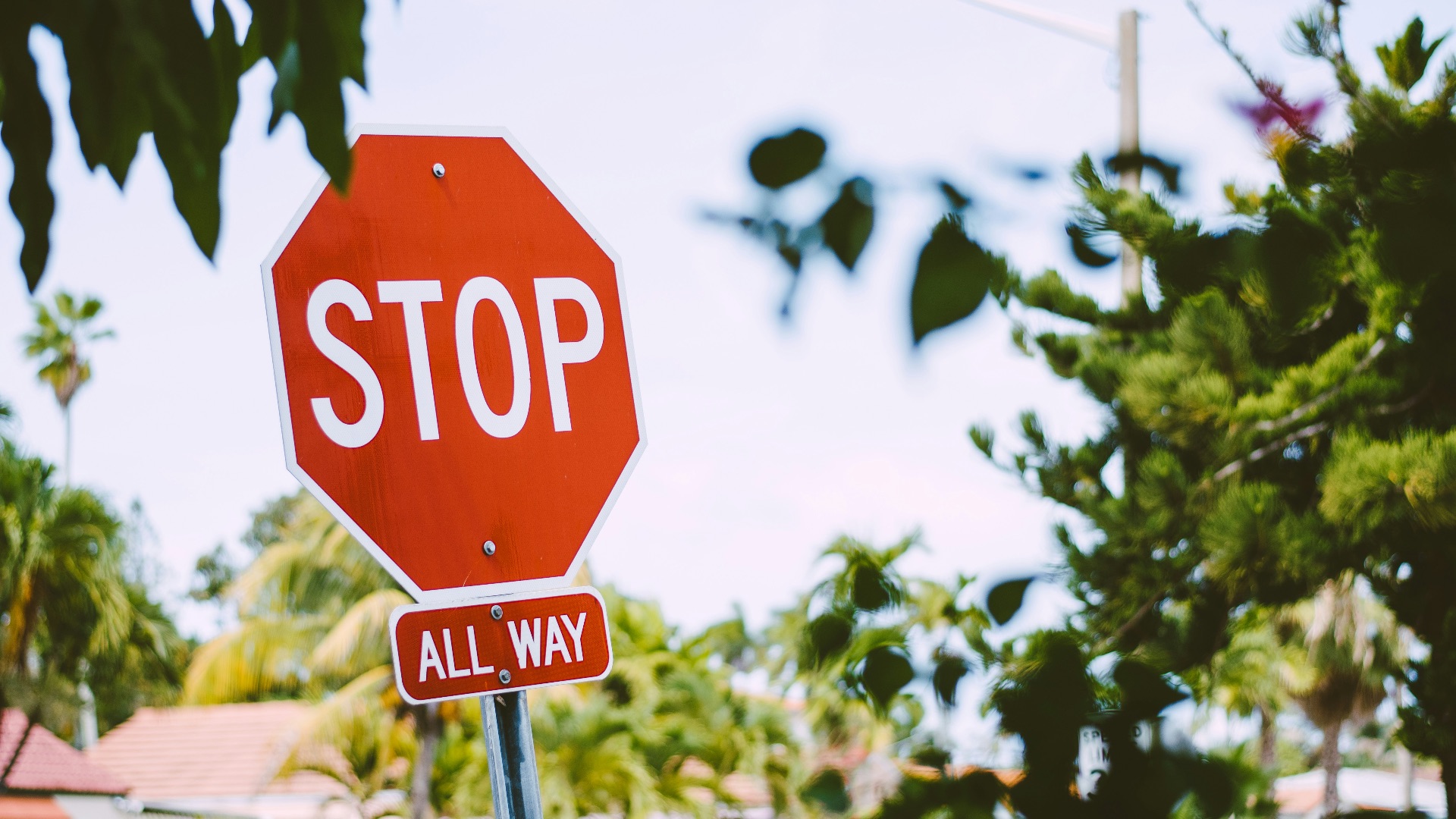 red stop road sign during daytime