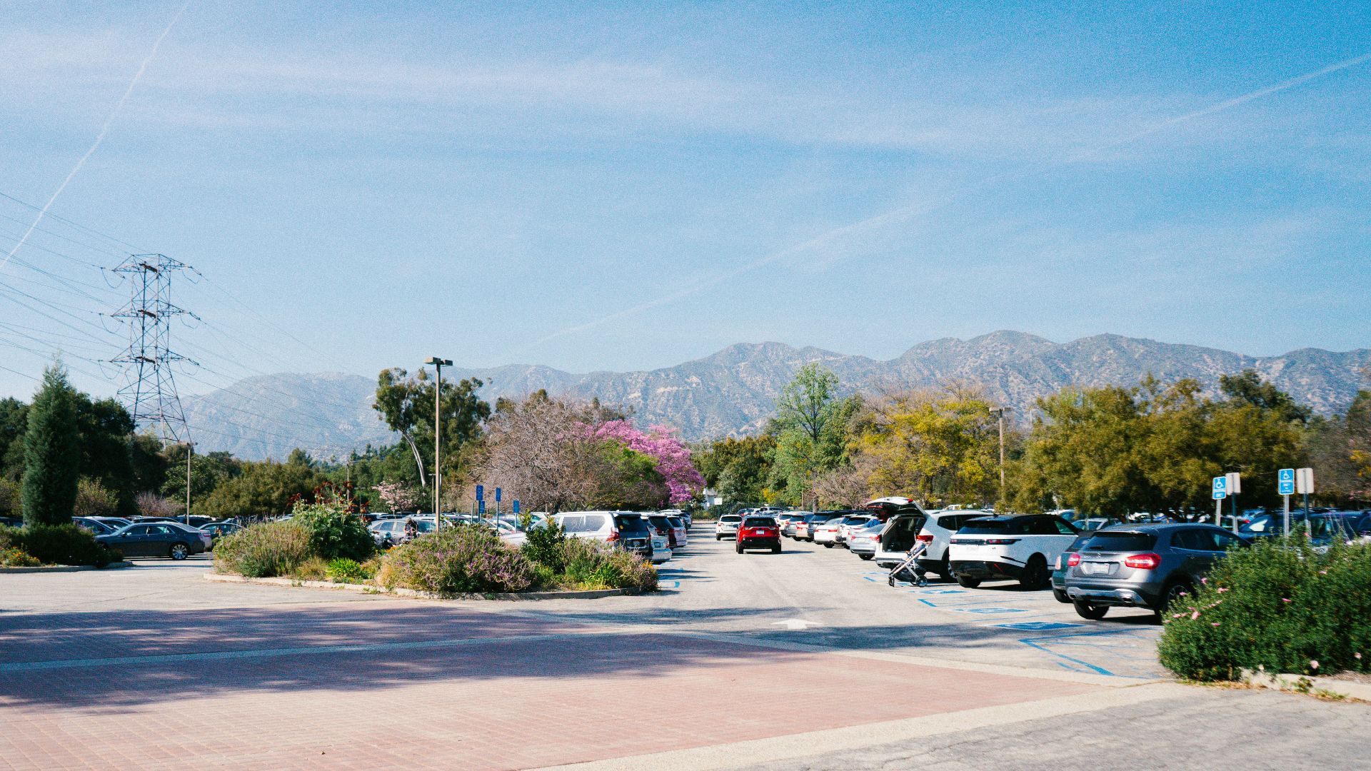cars parked on parking lot during daytime