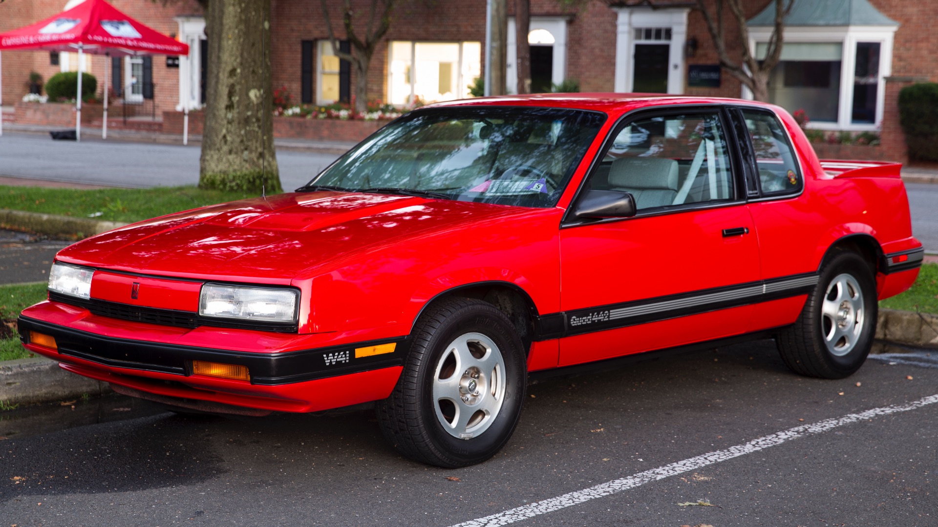 17919979944cd2cffc32d15acf331f36125aaa9631be1f95ff.jpg