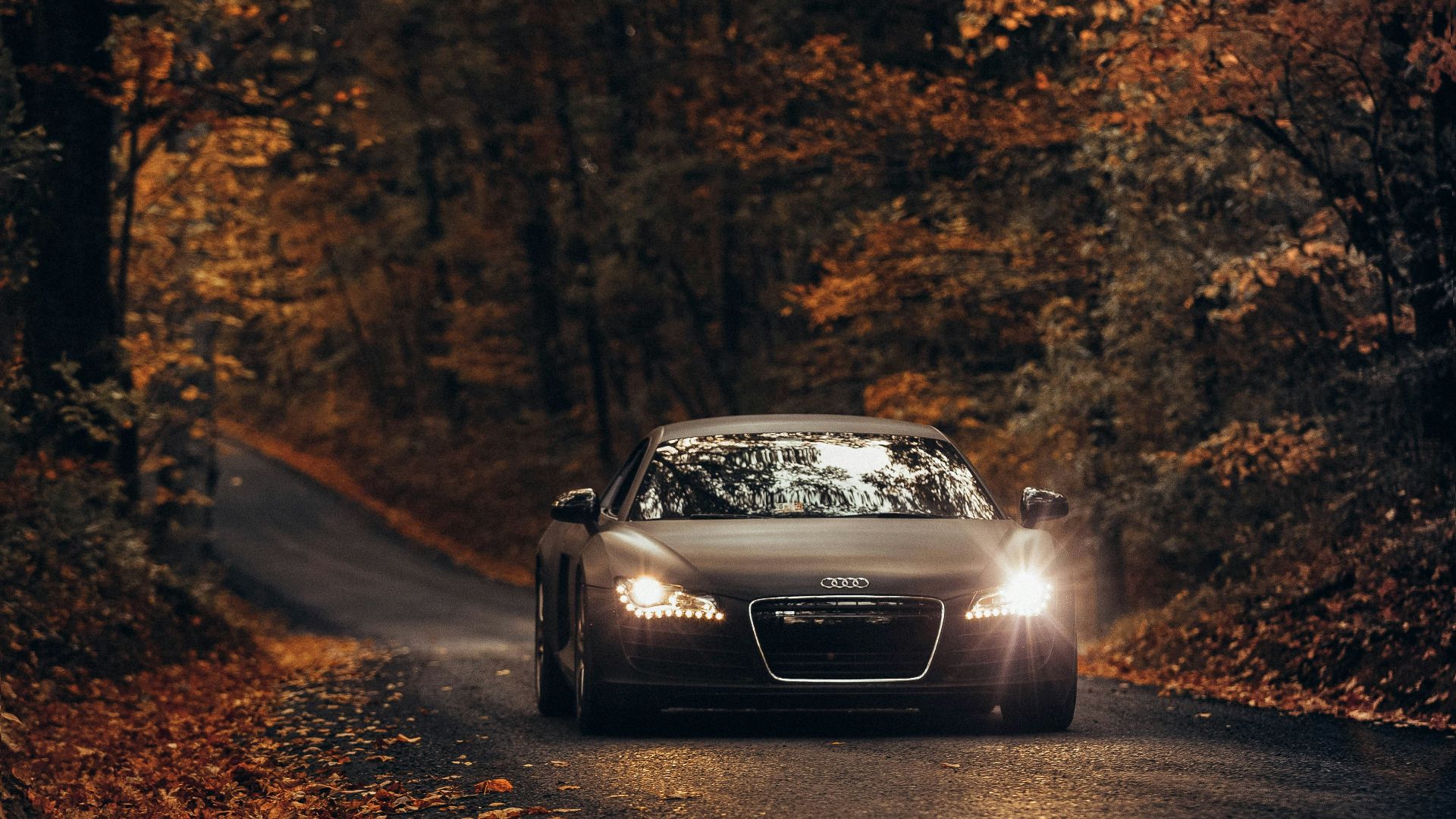 black vehicle on road between trees during daytime