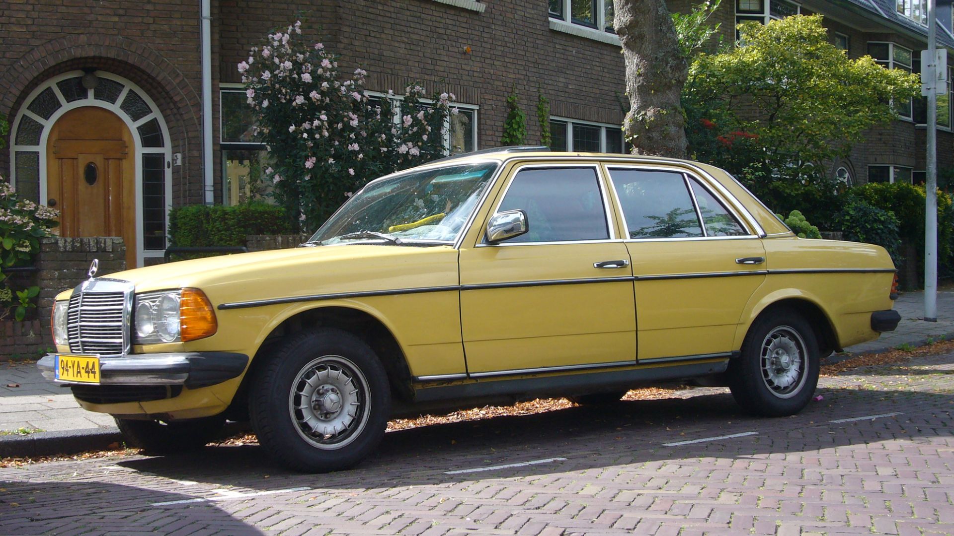 File:1976 Mercedes-Benz 240 D (W123) (53180221450).jpg