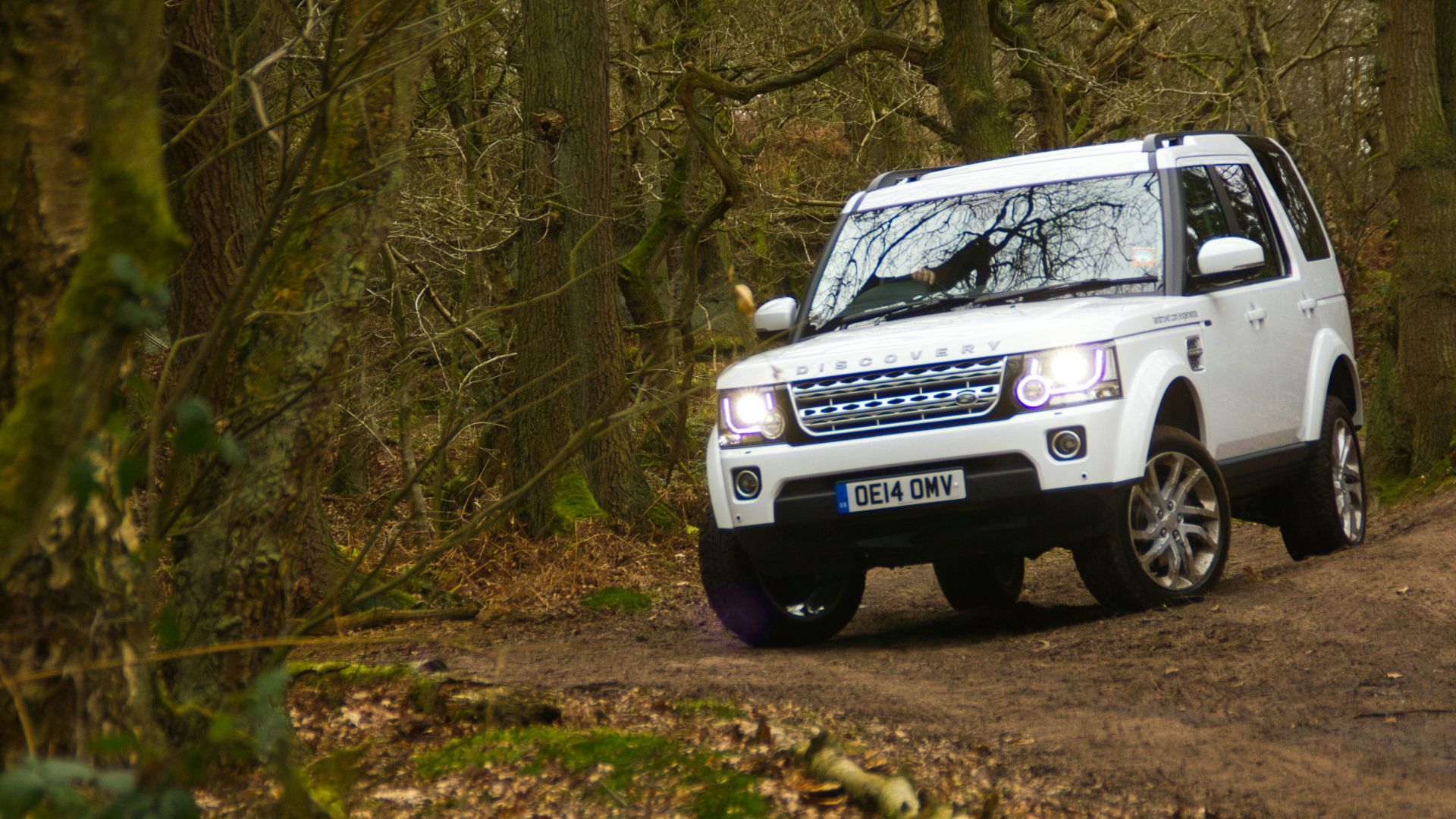 white and black jeep wrangler on forest during daytime