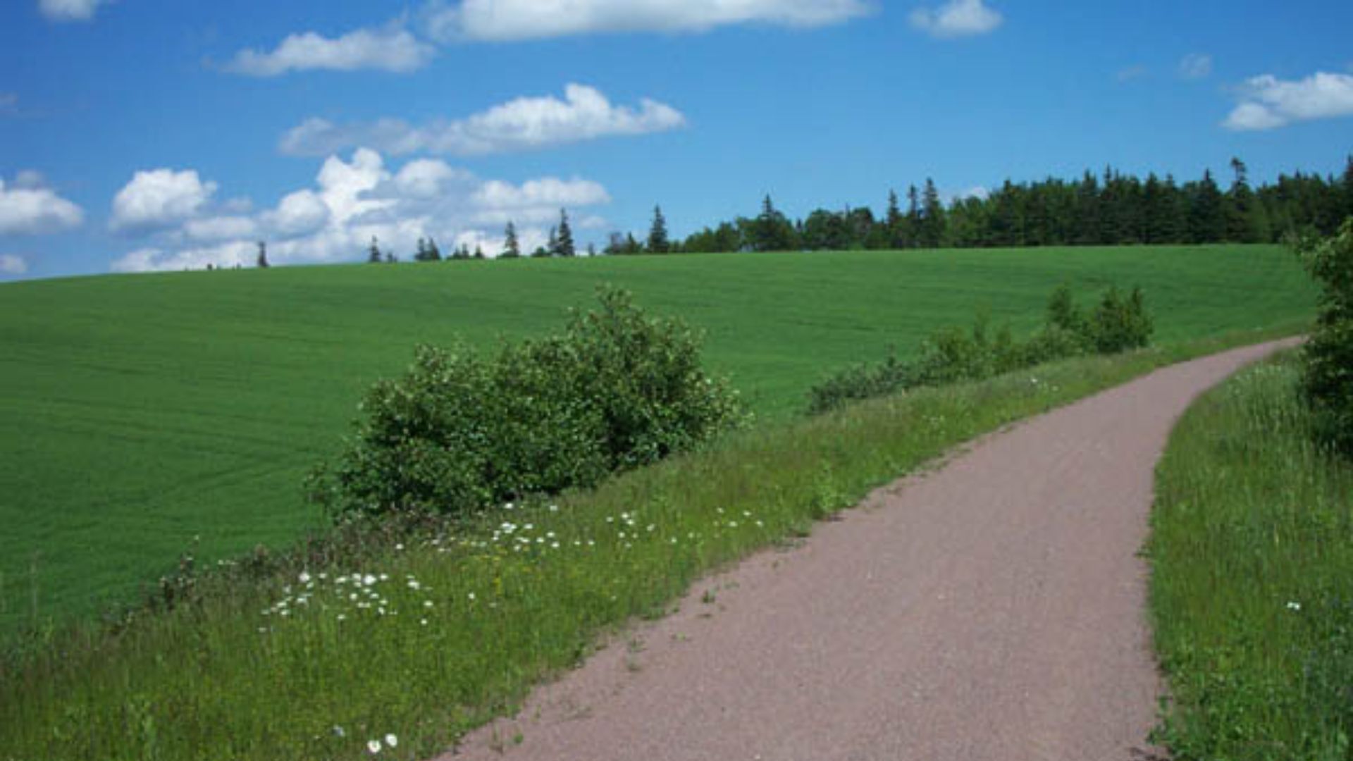 File:Confederation Trail, PEI (5927038).jpg